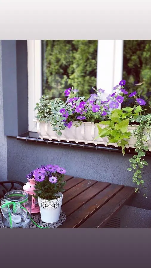 *** Inn Hotel Gosciniec Pod Brzozami Poznan Polonia